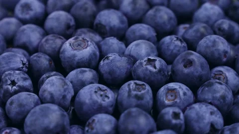 Blue blueberry berries texture circle rotation close up Stock Footage 290878916