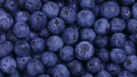 Blue blueberry berries texture circle rotation close up top view Stock Footage 295057649