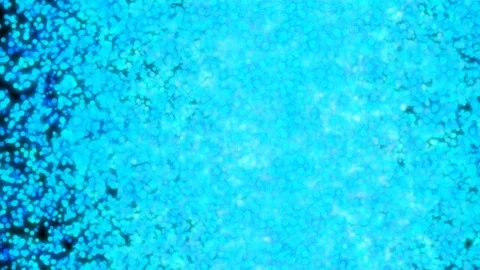 Blue bokeh abstract background ,Motion graphic  video Stock Footage 82556541