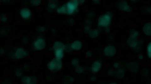 Blue bokeh bubble particles floating on ... | Stock Video | Pond5