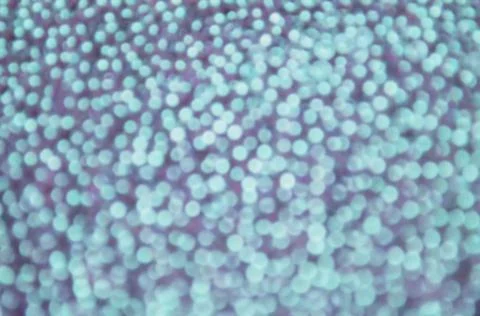 Blue bokeh gradient background Stock Photos