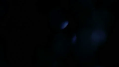 Blue Bokeh Loop Stock-Footage 171053351