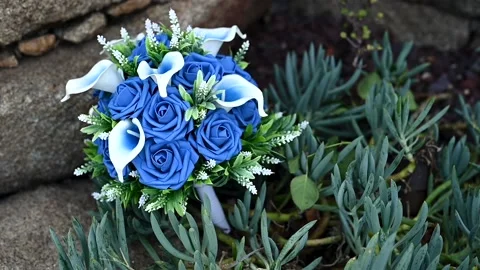 Blue Bouquet 動画素材 154322441