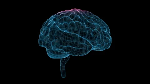 Blue brain grid spinning in black space in a 3D animation Stock Footage 238975637