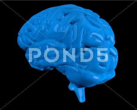 Blue brain Stock Illustration