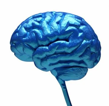 Blue brain Stock Illustration