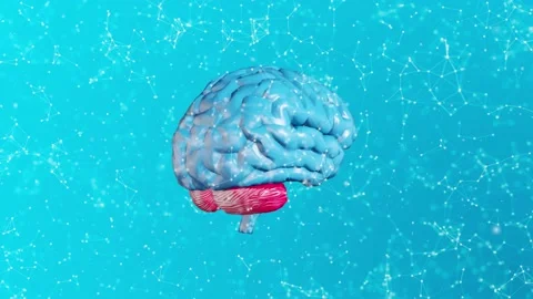 Blue Brain Plexus Stockbeeldmateriaal 154297942