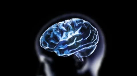 Blue brain zoom in cell Stock Footage 8923515