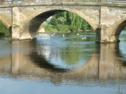 Blue Bridge Video stock 490103