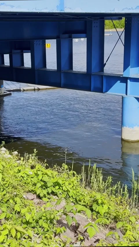 Blue Bridge Spanning Canoe Sprint Water Beside Green Shoreline Stock Footage 345153973
