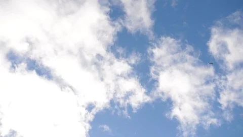 Blue british sky with a flying bird across white fluffy clouds, english country Stock Footage 90769602