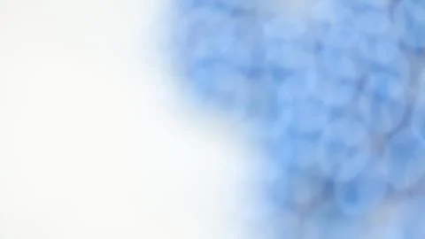 Blue bubble Stock-Fotos