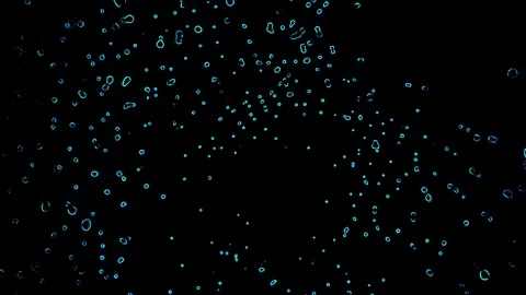 Blue bubbles on a black background Stock Footage 125354575
