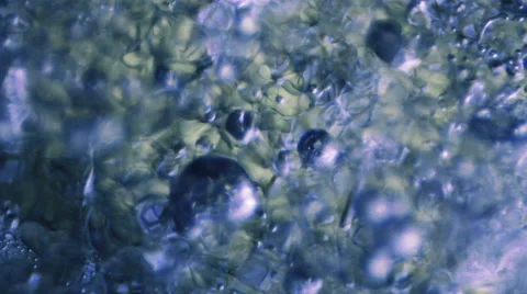 Blue Bubble/Water Particles Floating (Close-Up) Stock-Footage 64901212