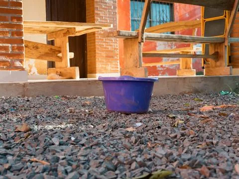 A blue bucket contains water in the backyard of a house. Stock Photos