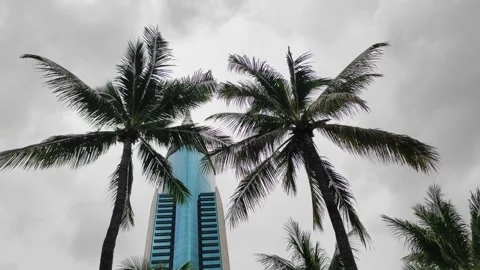 Blue building in between trees on a gloomy sky Stock Footage 263131802
