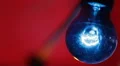 Blue Bulb Lamp Illuminating Artificial Light Closeup Filament Red Background Lit HD Footage