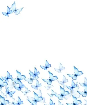 Blue butterflies background Stock Illustration