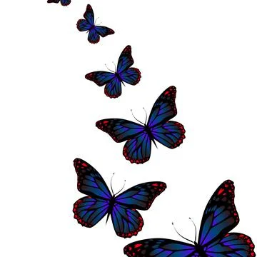 Blue butterflies on a white background. Vector illustration Stock Illustration
