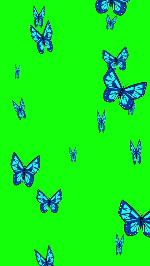 Blue butterfly animation flying loop on green screen chroma key footage Stock Footage 346642914