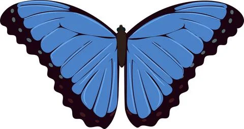 Blue butterfly close up. Vector tropical butterfly. Isolated object. 库存插图