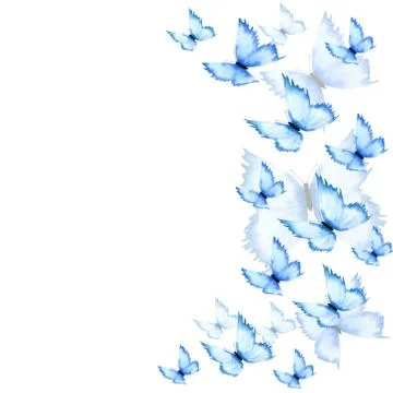 Blue butterfly frame with copy space Stock Illustration