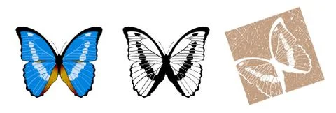 Blue butterfly Stock Illustration
