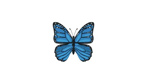 blue butterfly insect flying animation | Stock Video | Pond5
