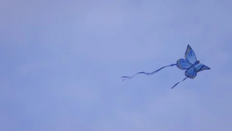 Blue Butterfly kite floating in the wind Video stock 199744753