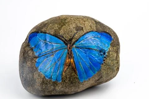 Blue butterfly painted on a rock Stock Photos