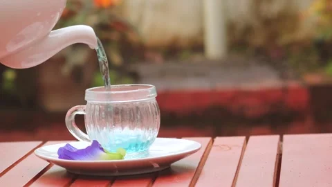 Blue Butterfly Pea Stock Footage 291916184