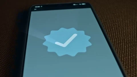 Blue button with Tick Mark, presentation Stock Footage 309556955