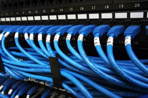 Blue cable patch cords connected to switches with numbers and empty labels Stock Photos