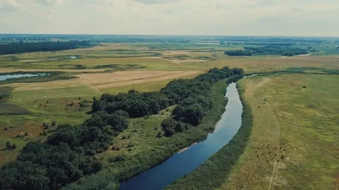 Blue calm river reflects white clouds green dense forests on horizon aerial view Stock Footage 112308142