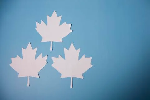 Blue canada leaf cutout background Foto stock