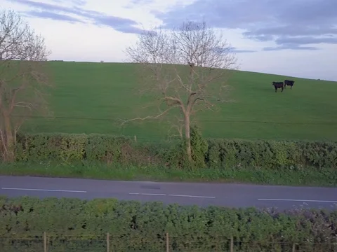 Blue car driving right to left Stock Footage 79243351