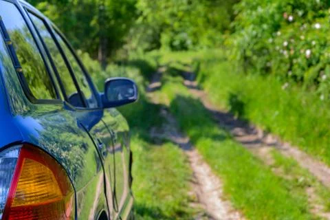 Blue car in forest Stock Photos