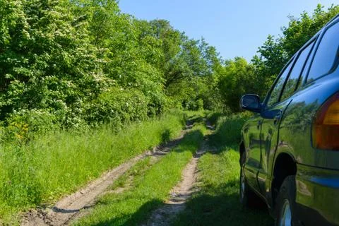 Blue car in forest Stock Photos