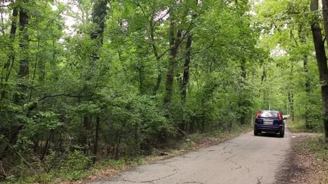 Blue car SUV driving through green forest and thin country road, passing by Stock Footage 207464681