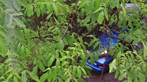 Blue car under the rain on a summer day. Stock Footage 108453370