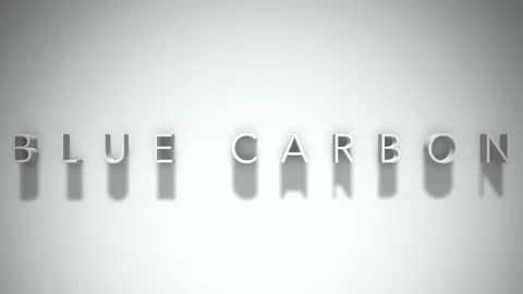 Blue Carbon 3D title animation with shadows on a white background Stock Footage 296000160