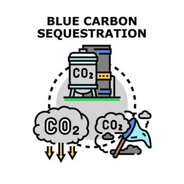 Blue carbon sequestration capturing carbon dioxide emissions Stock Illustration