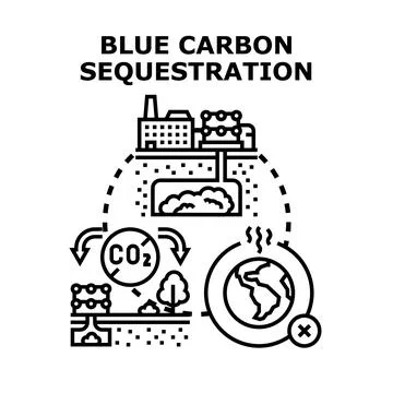 Blue carbon sequestration strategy capturing co2 emissions Stock Illustration