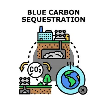 Blue carbon sequestration strategy capturing co2 emissions Stock Illustration