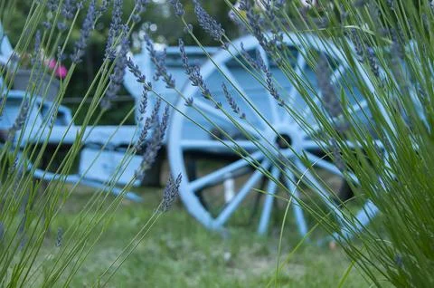 Blue Cart Stock Photos
