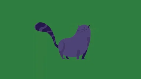 A blue cat standing on green screen and background animated chromakey Video stock 335068143