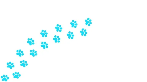 Blue cat tracks 2 white Stock Footage 249876097