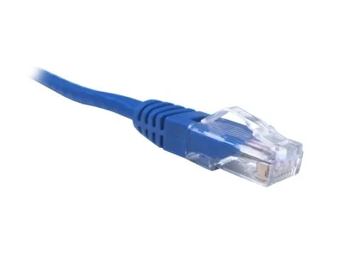 Blue CAT5e CAT6 Ethernet Patch Lead Foto stock