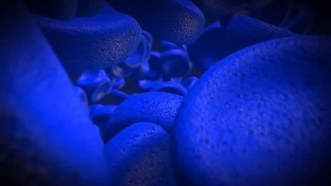 Blue Cells Stock Footage 81101492