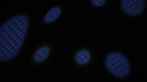 Blue Cells Under Microscope Closeup. Stock Footage 334864394